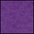 240-Iris purple